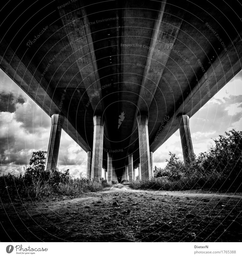 earthed Deserted Bridge Manmade structures Architecture Lanes & trails Highway Gray Black White Column Concrete Line Clouds Bushes Sand Sky Black & white photo