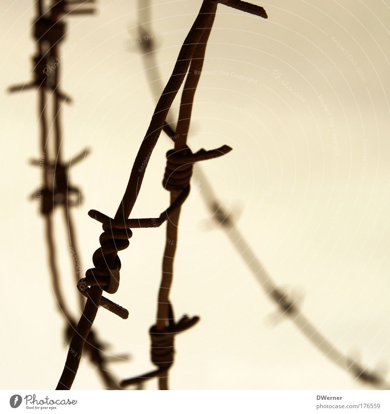 Barbed Wire II Environment Sky Clouds Metal Aggression Thorny Bravery Safety Protection Fear Dangerous Apocalyptic sentiment Freedom Testing & Control