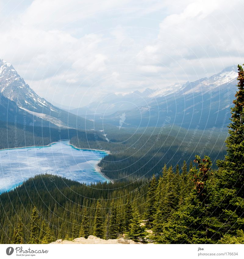 Peyto Lake Colour photo Exterior shot Copy Space top Day Sunlight Vacation & Travel Tourism Trip Summer Nature Landscape Sky Mountain Rocky Mountains Peyto lake