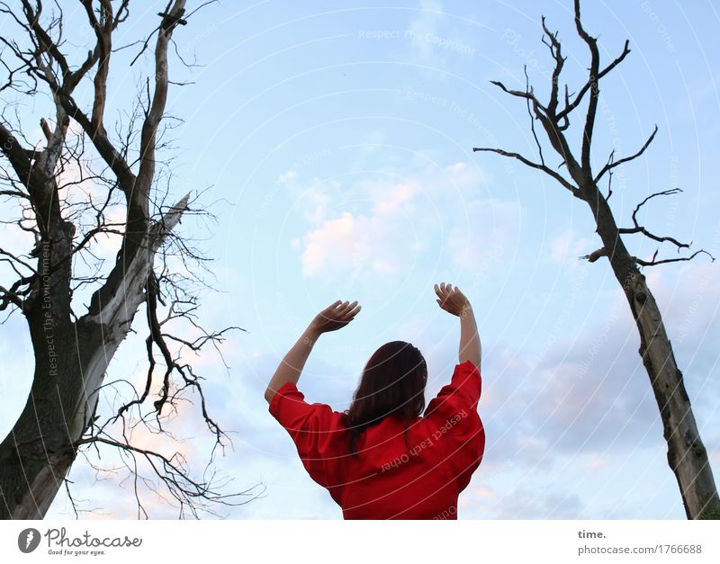 . Feminine 1 Human being Beautiful weather Tree Dress Brunette Long-haired Movement Stand Euphoria Passion Protection Watchfulness Life Hope Loneliness