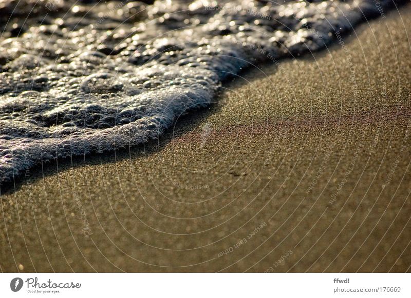 foam beach Colour photo Subdued colour Exterior shot Copy Space right Copy Space bottom Morning Sunlight Shallow depth of field Worm's-eye view