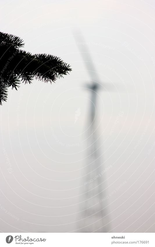 wind power Subdued colour Exterior shot Experimental Deserted Day Blur Shallow depth of field Central perspective Technology Energy industry Renewable energy