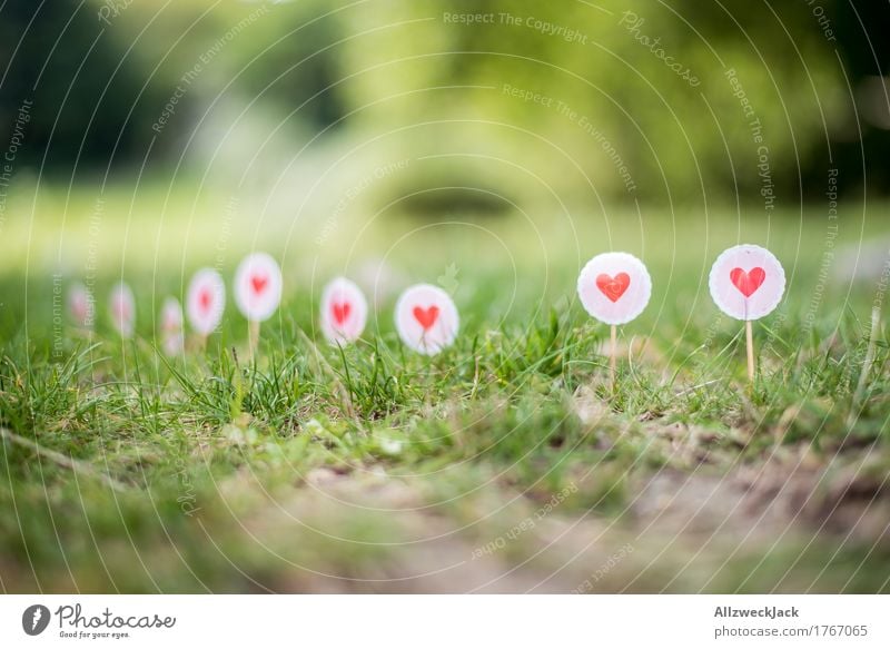 Border of Love Sign Heart Green Pink Red Sign forest Lawn Grass Signs and labeling Colour photo Exterior shot Detail Deserted Day Deep depth of field