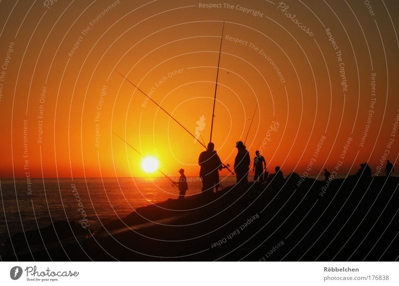 Fishermen Friends Colour photo Subdued colour Exterior shot Evening Twilight Sunrise Sunset Fishing (Angle) Ocean Human being Group Taghazout / Agadir Morocco