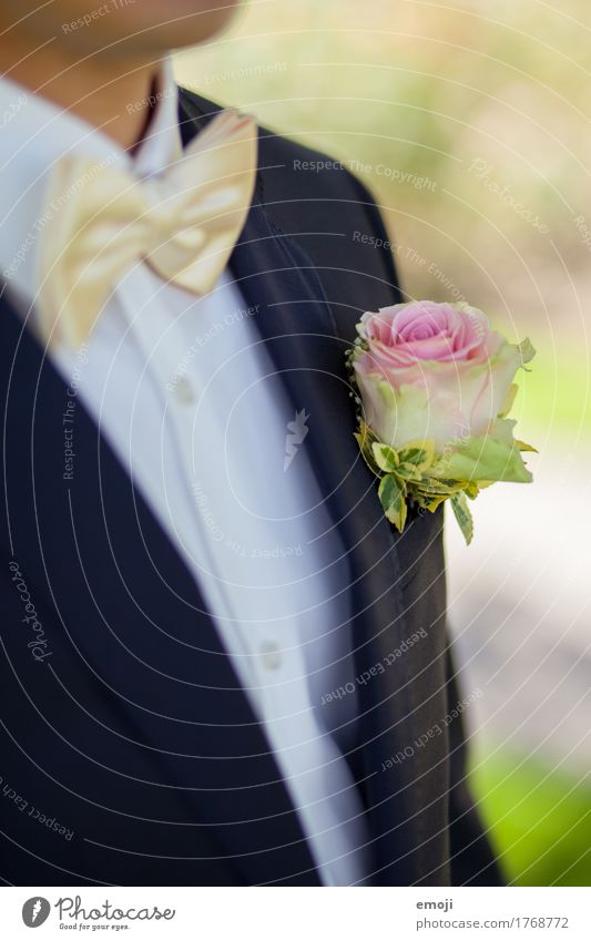 groom Plant Flower Rose Suit Accessory Bow tie Kitsch Cliche Bride groom Colour photo Exterior shot Detail Day Shallow depth of field