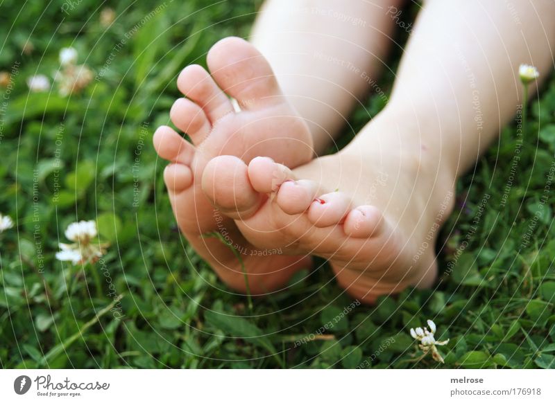 feel ... Well-being Senses Relaxation Freedom Summer Child Girl Feet Nature Earth Touch Lie Dream Happy Natural Emotions Contentment Warm-heartedness