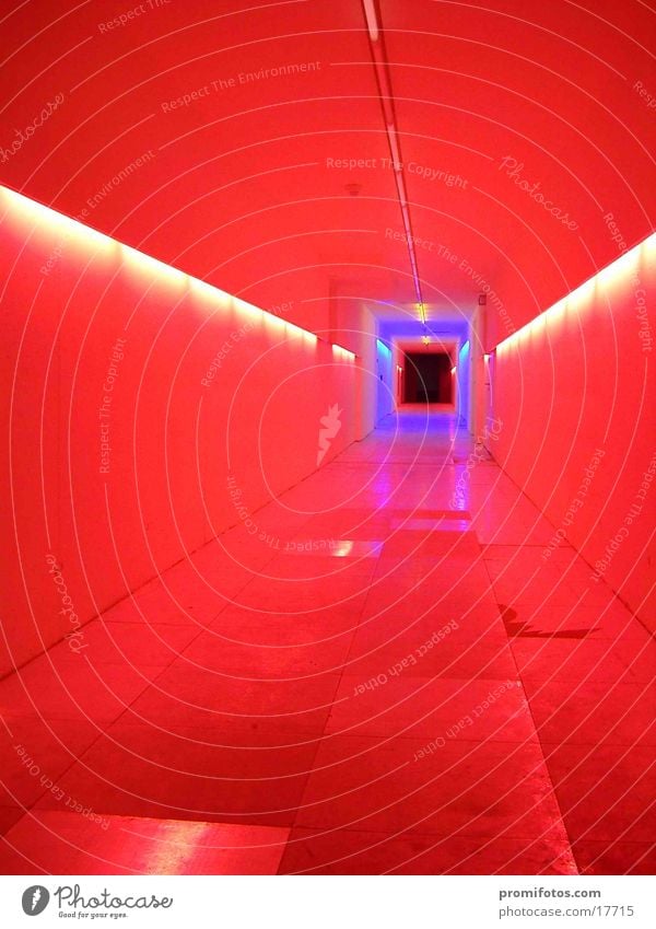Colorfully illuminated tunnel in a building. Photo: Alexander Hauk Lamp Tunnel Colour Things Corridor Light Light art Art manner Visual spectacle enlightenment