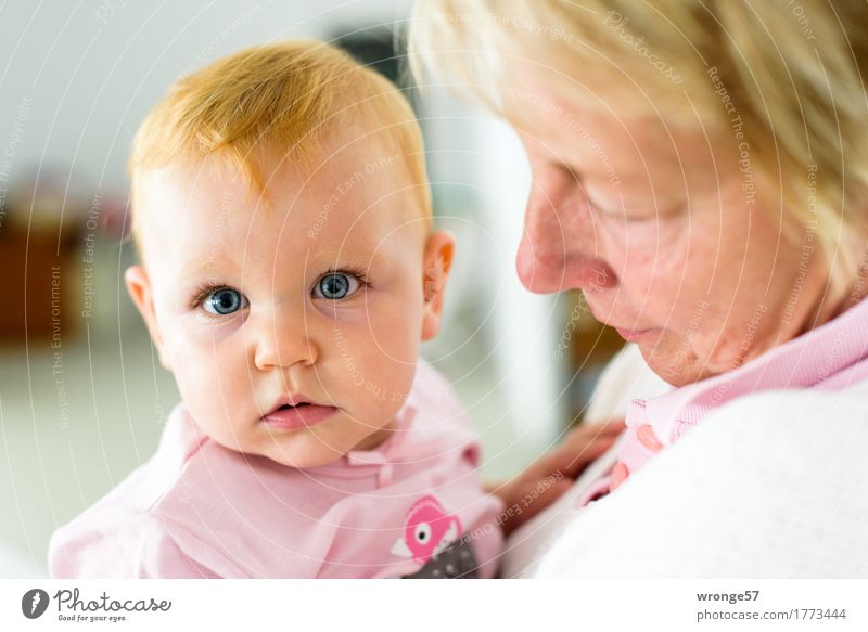 Grandma's Darling Human being Feminine Baby Woman Adults Female senior Grandmother 2 0 - 12 months 45 - 60 years Carrying Embrace Together Gray Pink Contentment