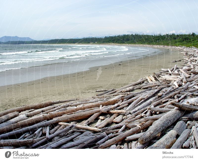 Long Beach Driftwood Vancouver Island Canada Ocean Wood