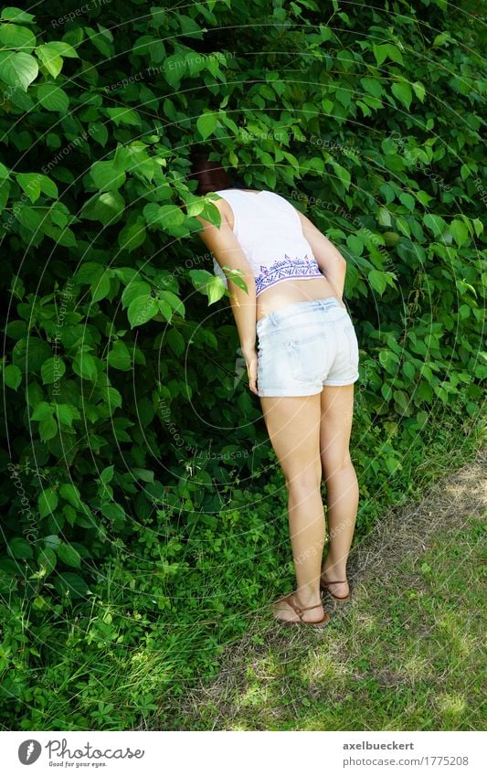 woman hiding head in bushes Lifestyle Leisure and hobbies Playing Human being Girl Young woman Youth (Young adults) Woman Adults 1 18 - 30 years Nature Plant
