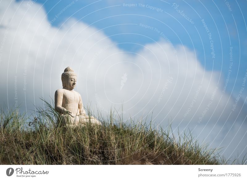 serenity Relaxation Calm Meditation Vacation & Travel Tourism Summer Nature Sky Clouds Beautiful weather Grass North Sea Island Norderney Dune Sit Serene
