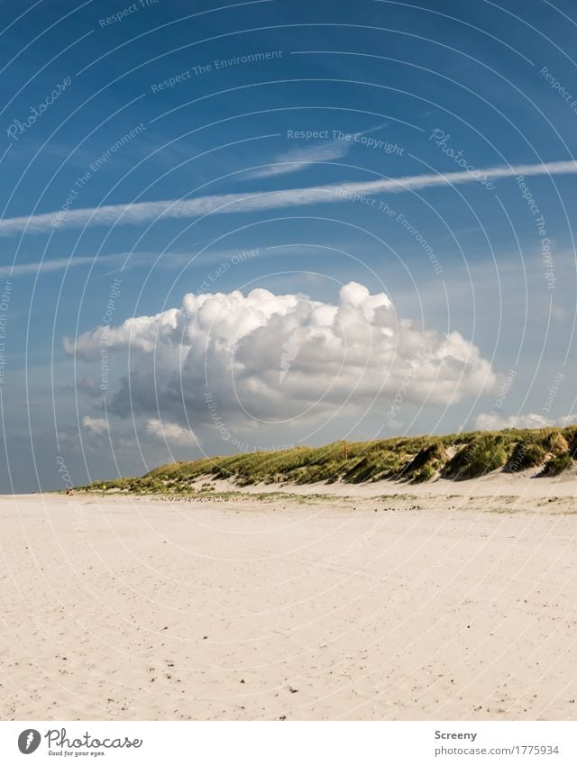 Over the dunes... Vacation & Travel Tourism Trip Far-off places Summer Summer vacation Beach Ocean Island Nature Landscape Sky Clouds Beautiful weather Grass