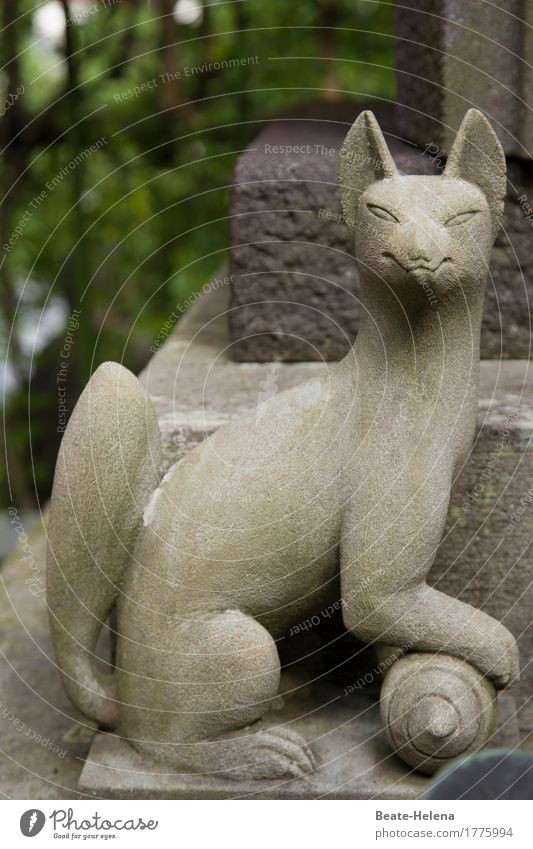 where even the cats have gooks. Beautiful Art Work of art Sculpture Summer Park Cat Stone Sign Smiling Sit Living or residing Positive Gray Emotions Moody Power