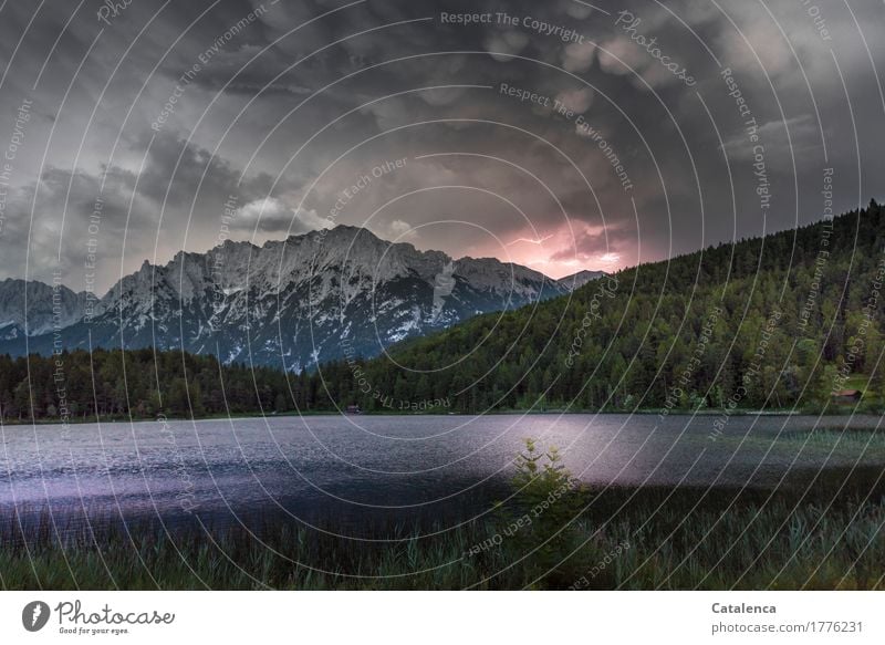 Klangfarbe | Thunderstorm Environment Landscape Elements Water Storm clouds Summer Wind Thunder and lightning Lightning Common Reed Coniferous forest Alps Lake