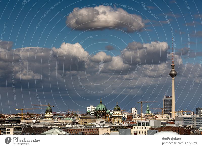 Berlin skyline in summer Vacation & Travel Tourism Trip Far-off places Freedom Sightseeing City trip Environment Clouds Summer Capital city Skyline