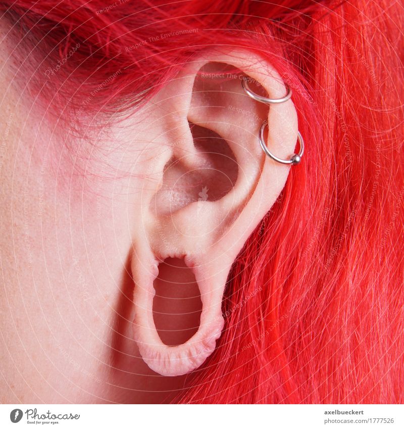 stretched earlobe piercing or Flesh Tunnel Lifestyle Beautiful Human being Feminine Young woman Youth (Young adults) Woman Adults Ear 1 Youth culture Subculture