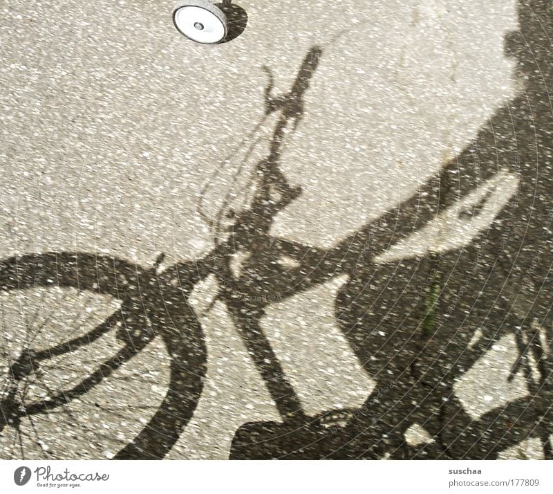 a very casual ride ... Subdued colour Detail Day Light Shadow Sunlight Means of transport Cycling Street Lanes & trails Bicycle Concrete Serene Mobility Wheel