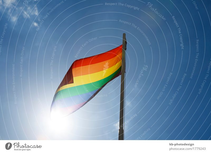 Rainbow flag on a flagpole in front of blue sky Lifestyle Homosexual Wind Sign Flag Love rainbow flag relationship freedom discrimination gender respect