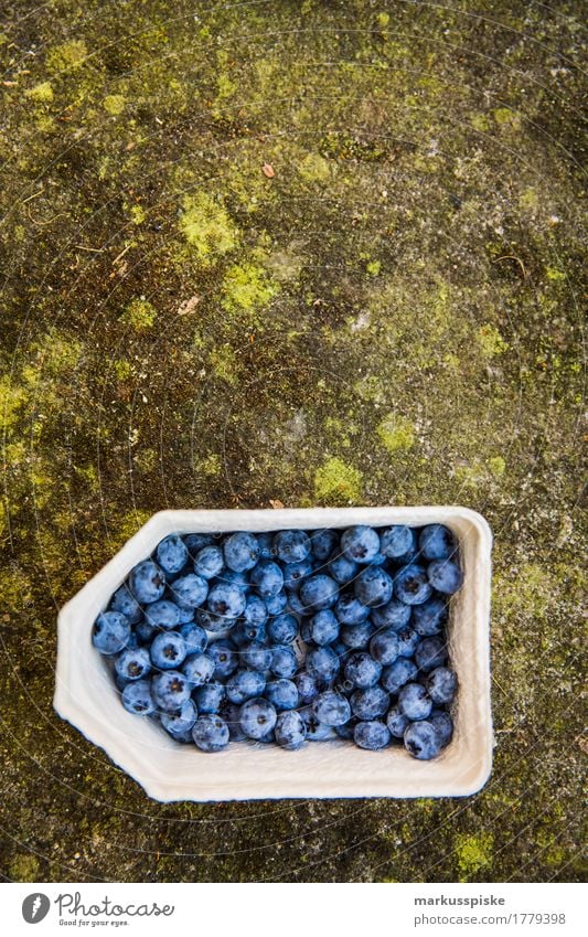 fresh organic blueberry harvest Food Fruit Blueberry Collection Harvest self-catering Urban gardening Nutrition Eating Lifestyle Healthy Eating