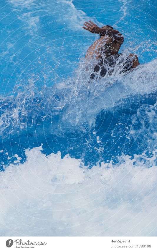 down into the valley Aquatics Sportsperson Surfing Surfer Back Swimming pool Esthetic Exceptional Fluid Blue Dynamics Movement Waves Splash of water White crest