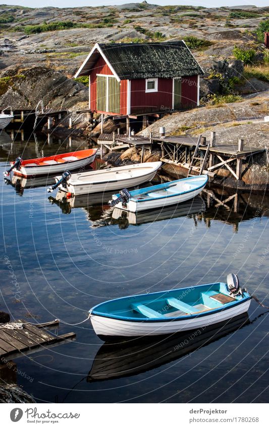 Small fishing port on a skerry Vacation & Travel Tourism Trip Environment Nature Landscape Plant Summer Beautiful weather Coast Bay Fjord Baltic Sea Island