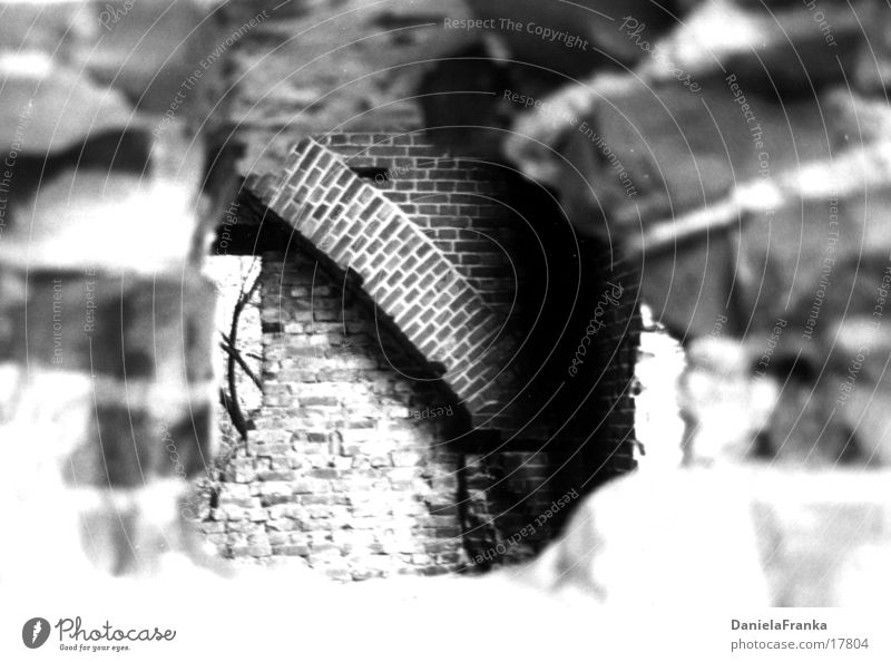 Hit War Historic Dugout bullet hole Black & white photo