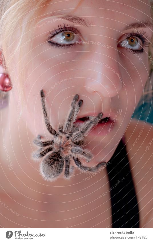 arachnophobia Colour photo Subdued colour Interior shot Day Portrait photograph Upward Human being Feminine Young woman Youth (Young adults) Woman Adults