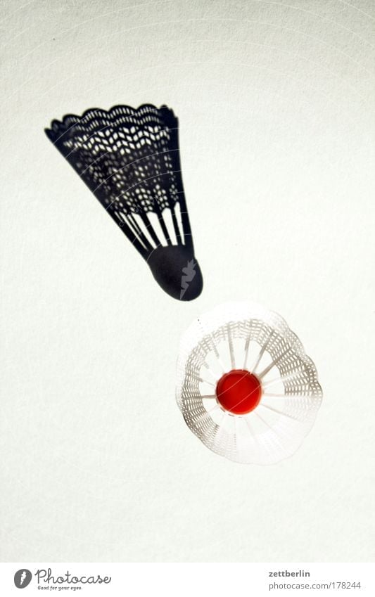 badminton Badminton detail thing Image Shadow Shuttlecock free time object Interior shot item recording Dimension game Sports dwell Copy Space