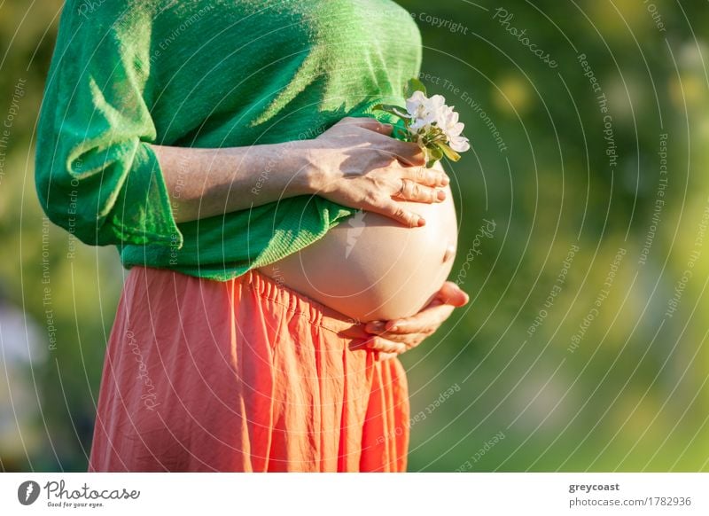 Closeup shot of bare belly of pregnant woman. She's holding a flower by it. Summer Woman Adults Hand 1 Human being 18 - 30 years Youth (Young adults) Plant
