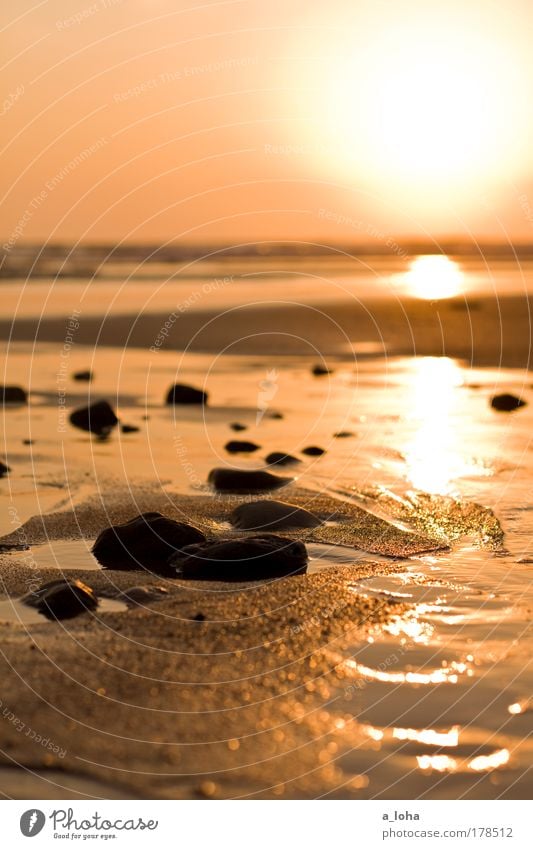 25 glittering stones Nature Landscape Elements Sand Air Water Sky Sunrise Sunset Beach Ocean Stone Discover Glittering Illuminate Dream Wet Beautiful Warmth