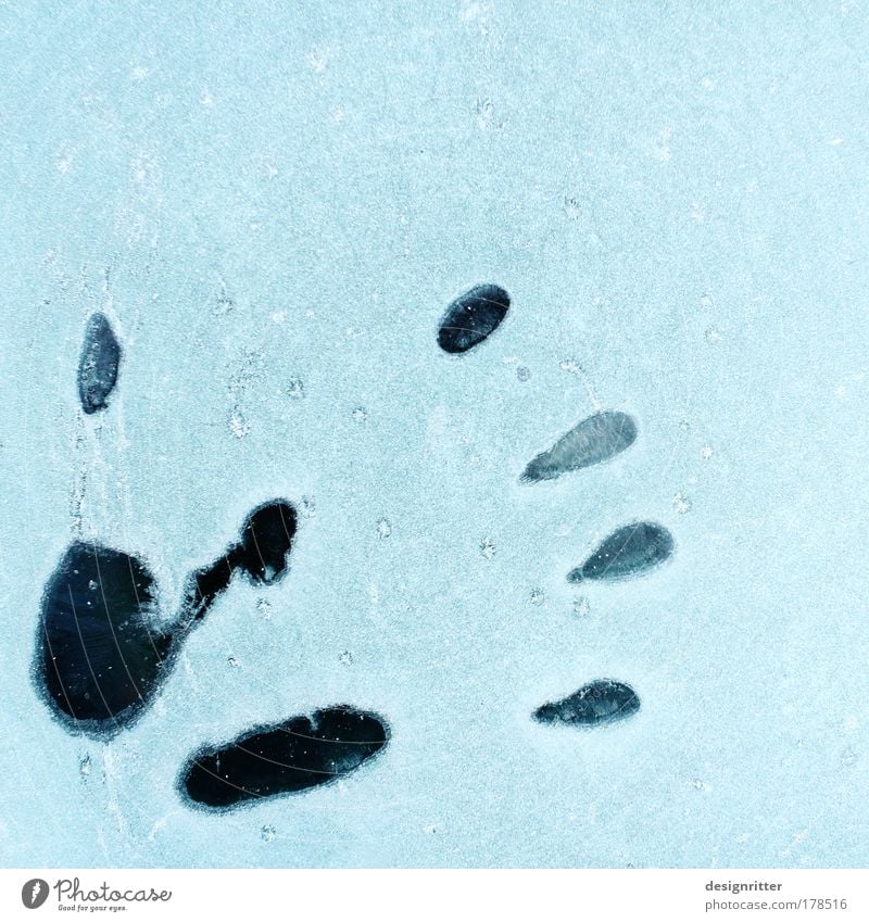 Ice Cold Hand Colour photo Exterior shot Close-up Detail Copy Space right Copy Space top Winter Snow Fingers Climate Weather Frost handprint Fingerprint Tracks