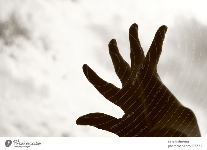 Reaching for the sky Black & white photo Skin Hand Environment Sky Weather