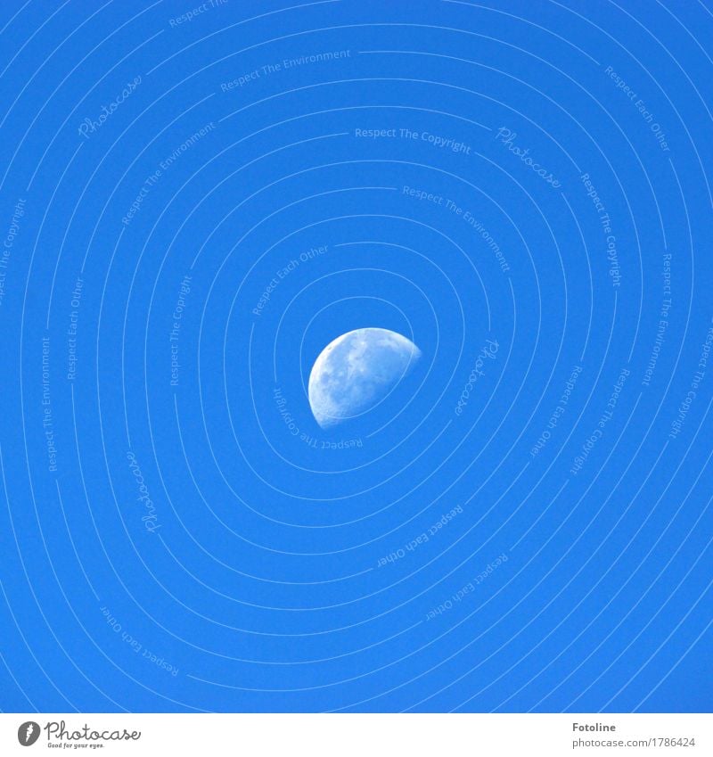 luna Sky Cloudless sky Moon Bright Blue White Decreasing increasing Moonlight Lunar landscape Moonrise Colour photo Multicoloured Exterior shot Close-up