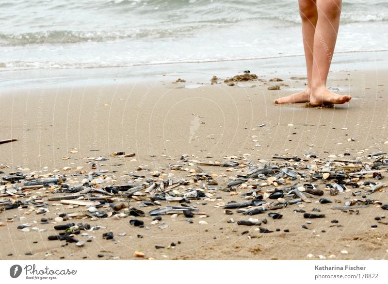 on the beach Life Legs Feet 1 Human being Environment Nature Earth Sand Water Summer Coast Beach Ocean Footprint Brown Black White Mussel Dance Day Undulating
