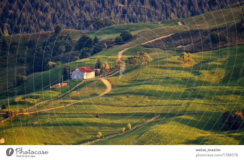September rural scene in Carpathian mountains. Summer Mountain House (Residential Structure) Environment Nature Landscape Earth Autumn Tree Grass Meadow Forest