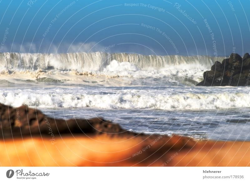 Ocean Waves Colour photo Exterior shot Abstract Pattern Day Motion blur Environment Nature Tree Coast Old Natural Blue White Passion storm surge seascape