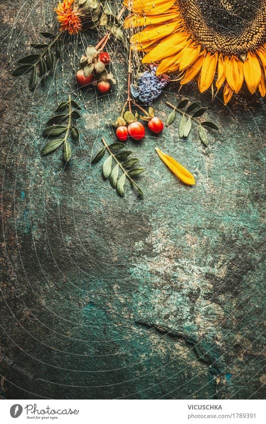 Autumn leaves and sunflower Style Design Life Summer Decoration Nature Plant Flower Leaf Blossom Bouquet Yellow Arranged Vintage Still Life Composing Sunflower
