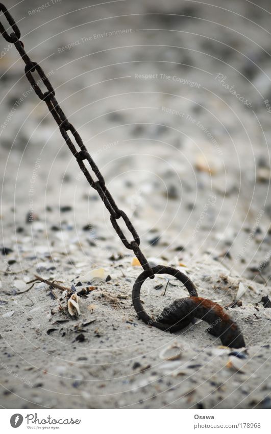 chain Chain Sand Beach Anchor Fastening guy Rust Circle Ring limbs Chain link Shallow depth of field Portrait format Copy Space Mussel Baltic Sea North Sea