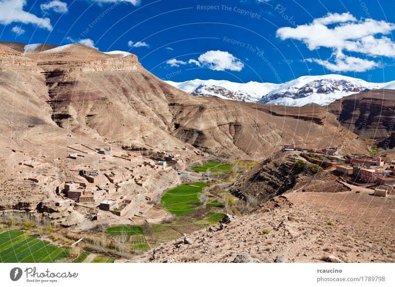 Morocco: landscape of Dades Valley in Atlas mountain Snow Mountain Nature Landscape Sky Clouds Tree Oasis Village Blue Green Africa atlas dades Horizontal Kabah