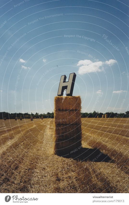 h Colour photo Exterior shot Environment Nature Landscape Summer Beautiful weather Tree harvested field Esthetic Discover Horizon Symmetry Central