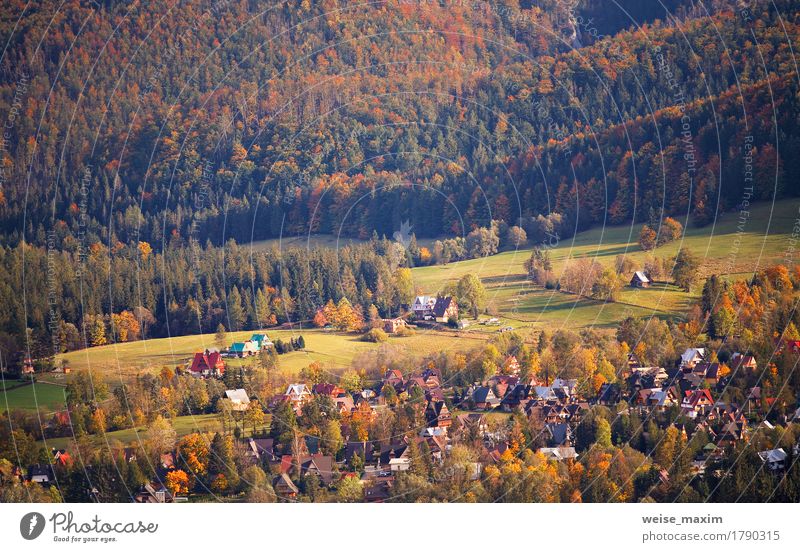 Sunny October day in Malopolska mountain village Vacation & Travel Tourism Mountain House (Residential Structure) Nature Landscape Plant Autumn Climate