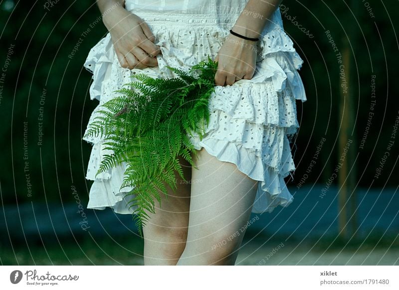 ferns woman Woman Legs White Dress Fern Plant Hide Thin ruffles Eroticism Hand Green Style Nature Knee Self-confident Joke Wedding Young woman