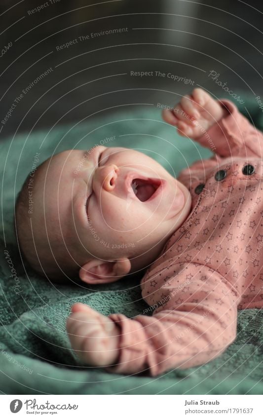 Good morning Feminine Baby 1 Human being 0 - 12 months Lie Fatigue Movement Infancy Yawn Stretching Pink Green Blanket Colour photo Interior shot Day