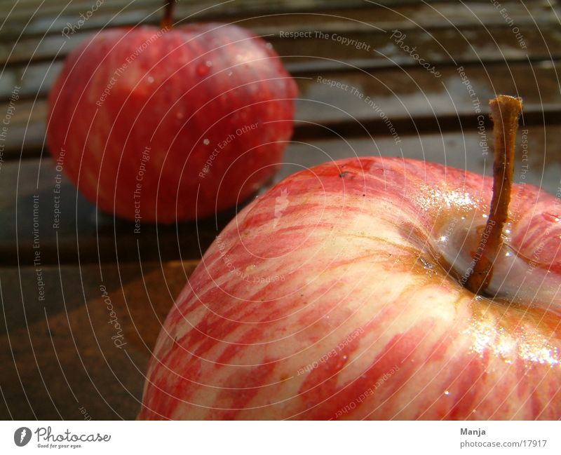 apples Red Juicy Healthy Wet Apple Fruit