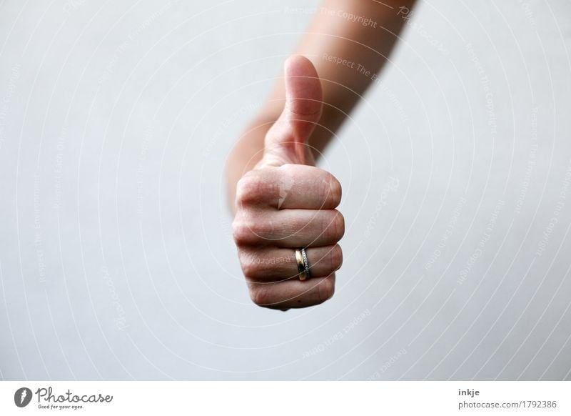 Thumbs up! Lifestyle Leisure and hobbies Hand 1 Human being Communicate Success Positive Emotions Moody Contentment Enthusiasm Optimism Determination Loyal