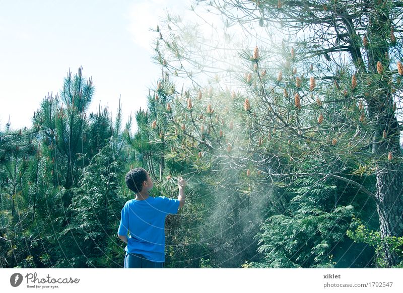 tree boy Tree Boy (child) Forest Freedom Blue Infancy Happy Light Shadow Green Earth Pine Playing Reflection Colour Summer Sun Dust Pollen Seed Allergy