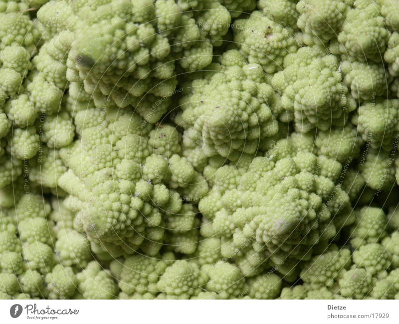 fractals in veges Broccoli Green Spiral Cauliflower Vegetable Romanesco