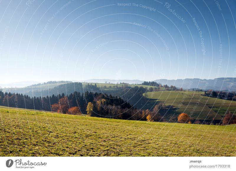 Field, forest and meadow Tourism Trip Nature Landscape Cloudless sky Horizon Summer Autumn Beautiful weather Tree Meadow Mountain Colour photo Exterior shot
