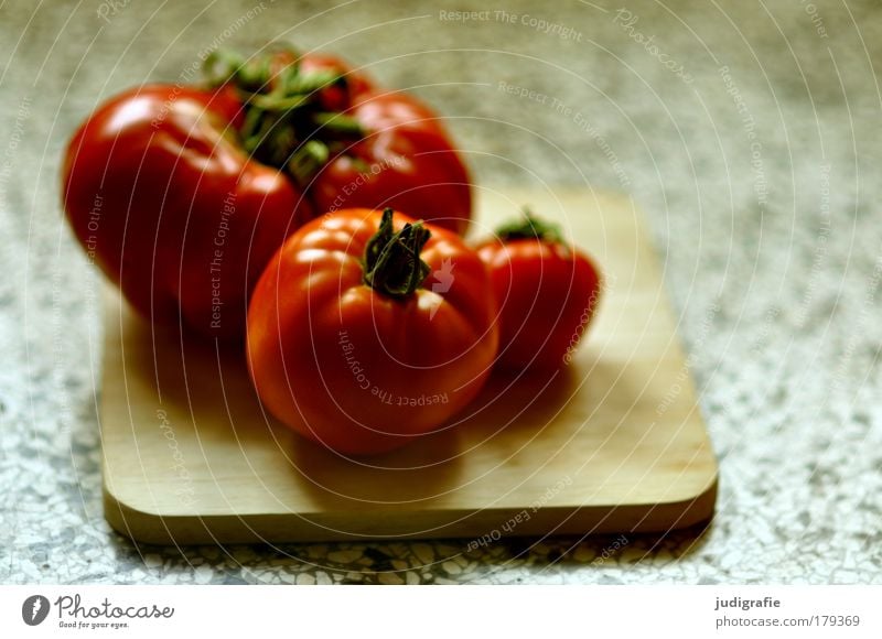 tomatoes Colour photo Interior shot Day Light Shadow Blur Food Vegetable Tomato Nutrition Vegetarian diet Diet Fat Fresh Delicious Natural Red Healthy