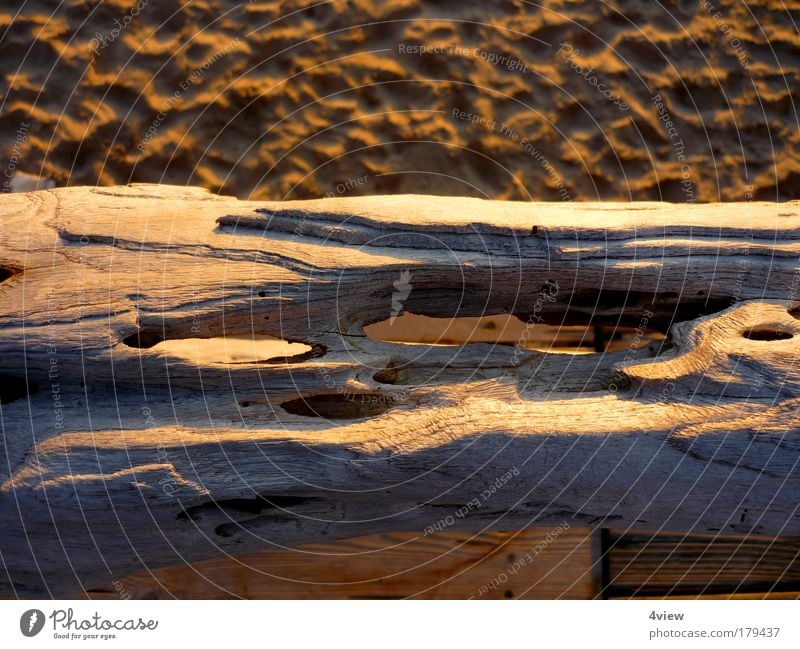 Beach good! Colour photo Exterior shot Structures and shapes Deserted Twilight Shadow Contrast Sunlight Sunrise Sunset Shallow depth of field Bird's-eye view
